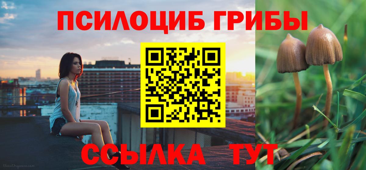 Псилоцибиновые грибы прущие грибы Лангепас